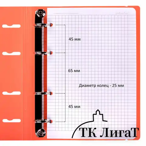 Тетрадь на кольцах А5 175х220 мм, 120 л., пластик, с резинкой, BRAUBERG, Коралловый, 404621