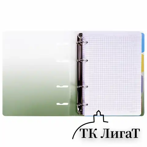 Тетрадь на кольцах А5 175х220 мм, 120 л., пластик, с разделителями, BRAUBERG, Зеленый, 404629