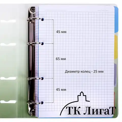 Тетрадь на кольцах А5 175х220 мм, 120 л., пластик, с разделителями, BRAUBERG, Зеленый, 404629