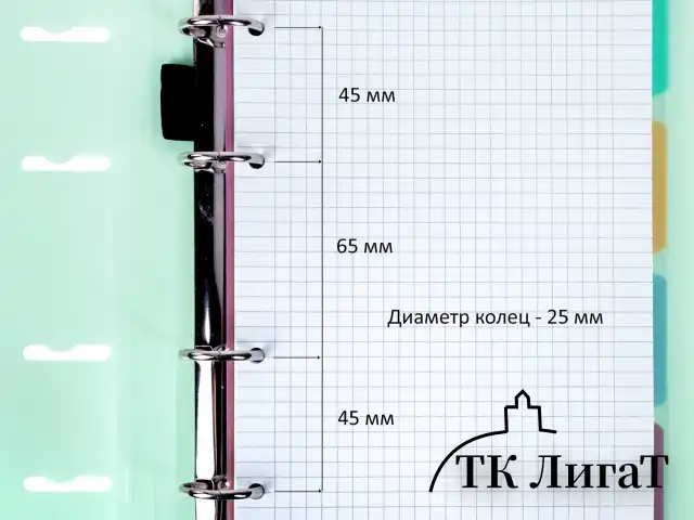 Тетрадь на кольцах А5 175х220 мм, 120 л., пластик, на липучке, с разделителями, BRAUBERG, Мятный, 404638