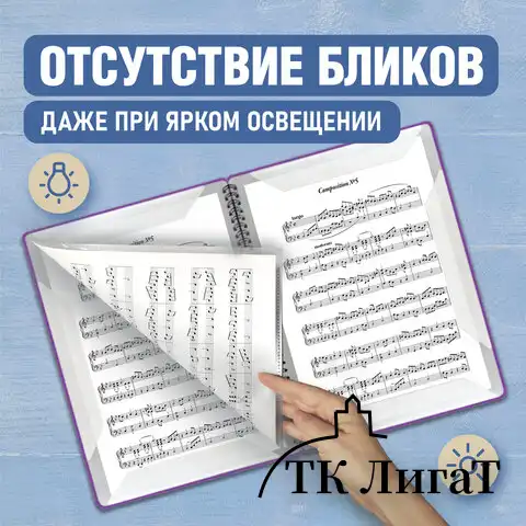 Папка тетрадь для нот А4, 20 вкладышей на 40 страниц, на гребне, пластик, ФИОЛЕТОВАЯ, BRAUBERG, 404644, 404645