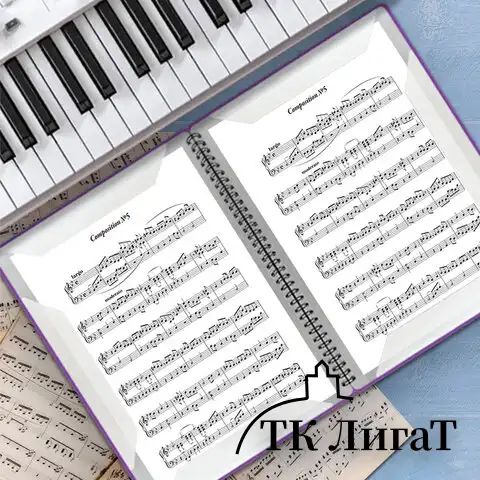 Папка тетрадь для нот А4, 20 вкладышей на 40 страниц, на гребне, пластик, ФИОЛЕТОВАЯ, BRAUBERG, 404644, 404645