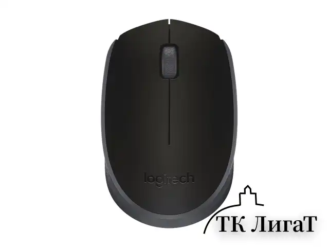 Мышь беспроводная LOGITECH M171, 2 кнопки + 1 колесо-кнопка, оптическая, черная, 910-004424