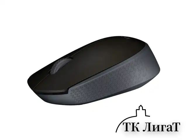 Мышь беспроводная LOGITECH M171, 2 кнопки + 1 колесо-кнопка, оптическая, черная, 910-004424