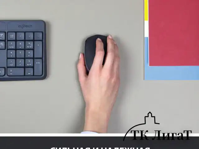 Мышь беспроводная LOGITECH M171, 2 кнопки + 1 колесо-кнопка, оптическая, черная, 910-004424