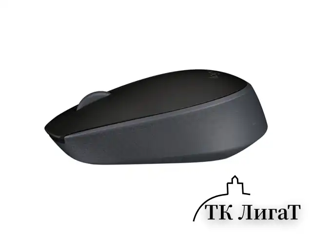 Мышь беспроводная LOGITECH M171, 2 кнопки + 1 колесо-кнопка, оптическая, черная, 910-004424