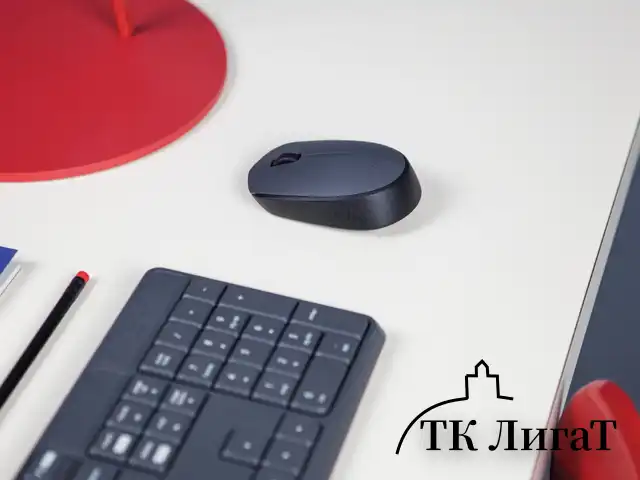 Мышь беспроводная LOGITECH M170, 2 кнопки + 1 колесо-кнопка, оптическая, черная, 910-004642