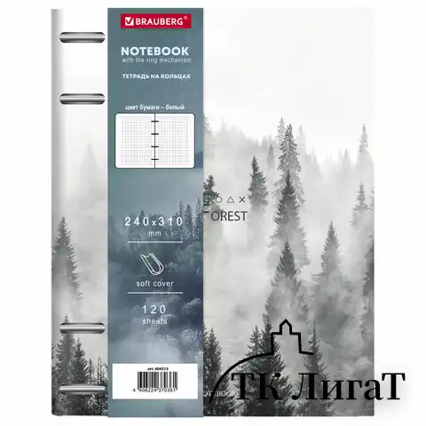 Тетрадь на кольцах БОЛЬШАЯ А4 (240х310 мм), 120 л., под кожу, BRAUBERG VISTA, "Туман", 404515