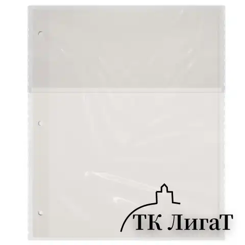 Листы для фотоальбома магнитные 23*28 см, КОМПЛЕКТ 10 штук, BRAUBERG, 391312