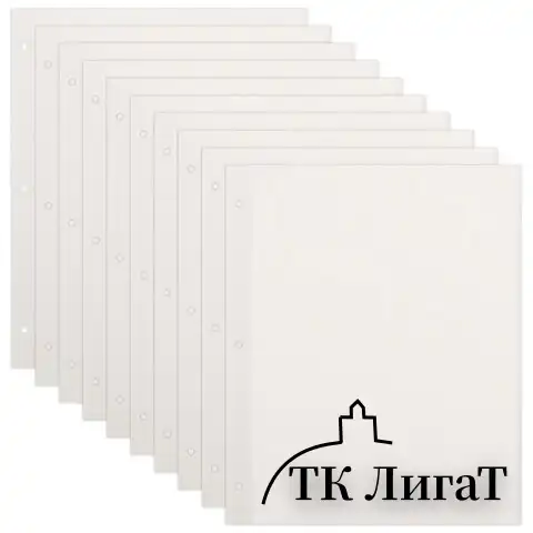 Листы для фотоальбома магнитные 23*28 см, КОМПЛЕКТ 10 штук, BRAUBERG, 391312