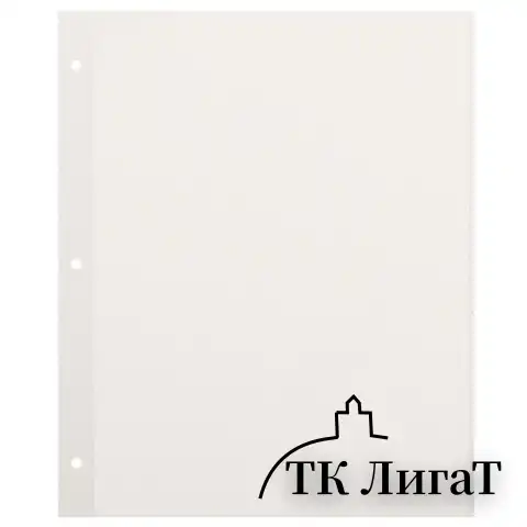 Листы для фотоальбома магнитные 23*28 см, КОМПЛЕКТ 10 штук, BRAUBERG, 391312
