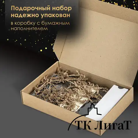 Ручка шариковая PARKER "Jotter Core Stainless Steel GT", пакет, 880887