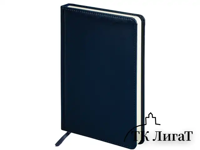 Ручка шариковая PARKER "Jotter Plastic CT", корпус синий, ежедневник А5 синий, пакет, 880896