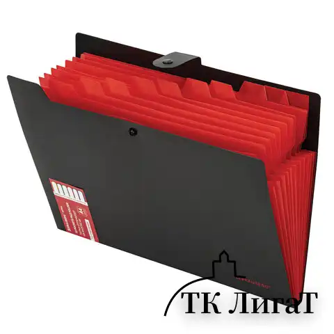 Папка-органайзер на кнопке 12 отделений, BRAUBERG "Extra", А4, черная с красным, 271934