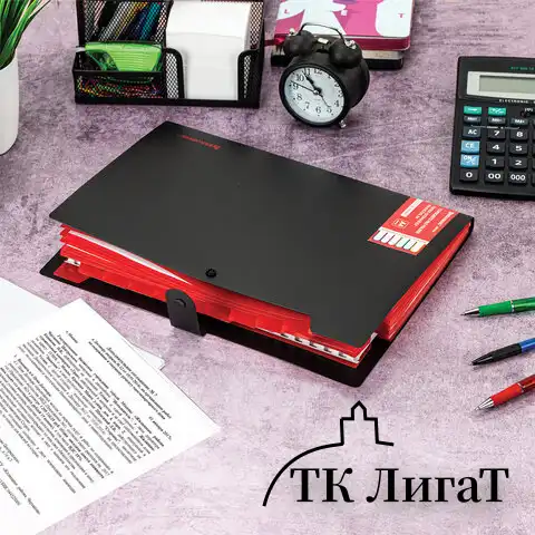 Папка-органайзер на кнопке 12 отделений, BRAUBERG "Extra", А4, черная с красным, 271934