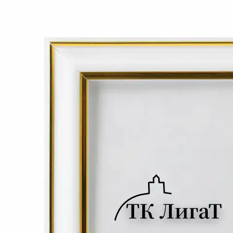 Рамка 30х40 см небьющаяся, багет 20 мм пластик, BRAUBERG "HIT3", белая с двойной позолотой, 391383