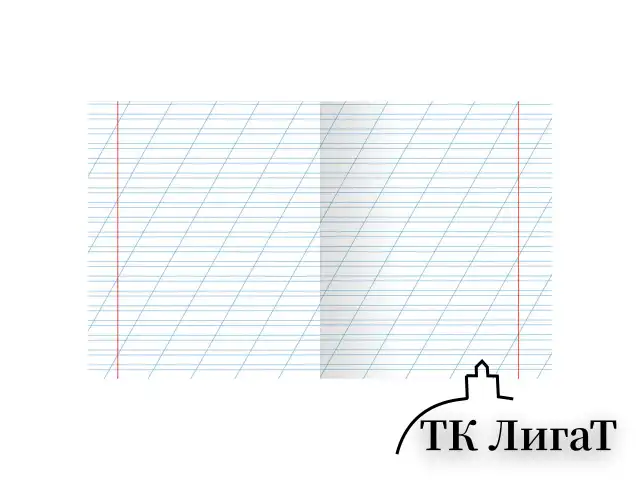 Тетрадь ЗЕЛЁНАЯ обложка 12 л., косая линия с полями, офсет, "HATBER", 013946, 12Т5B6_05112