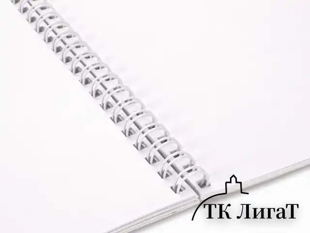 Альбом для рисования, А4, 40 листов, гребень, обложка картон, BRAUBERG, 195х285 мм, "Удивительная Природа" (2 вида), 102832