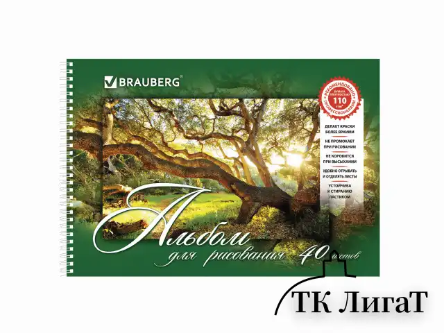 Альбом для рисования, А4, 40 листов, гребень, обложка картон, BRAUBERG, 195х285 мм, "Удивительная Природа" (2 вида), 102832
