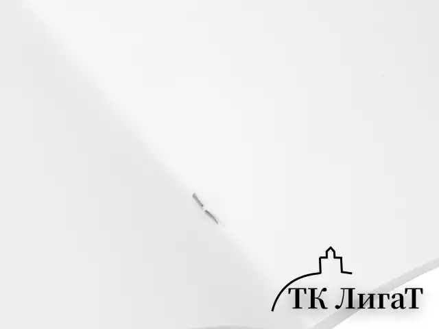 Альбом для рисования, А4, 40 листов, скоба, обложка картон, BRAUBERG, 200х283 мм, "Цветы" (2 вида), 102851