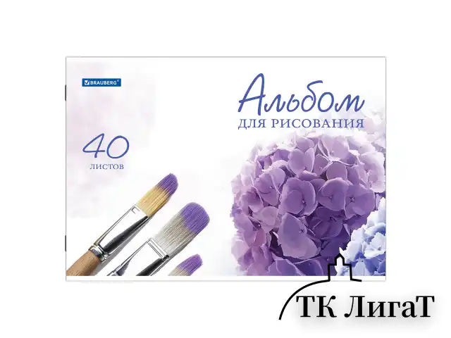 Альбом для рисования, А4, 40 листов, скоба, обложка картон, BRAUBERG, 200х283 мм, "Цветы" (2 вида), 102851