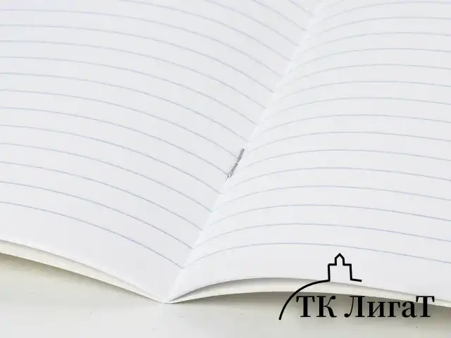 Тетрадь 12 л. BRAUBERG, линия, обложка картон, ТОЧКИ, 103027