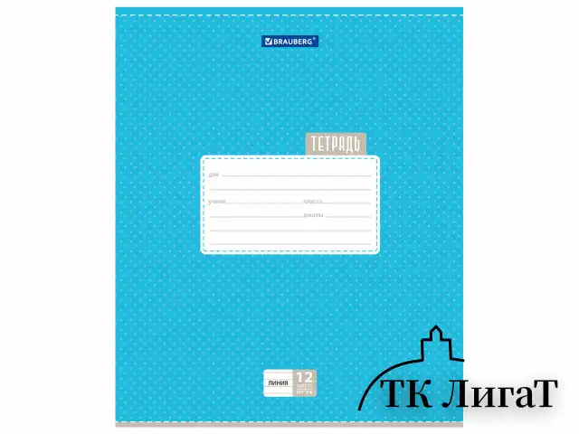 Тетрадь 12 л. BRAUBERG, линия, обложка картон, ТОЧКИ, 103027
