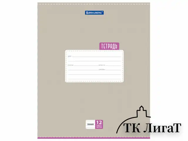Тетрадь 12 л. BRAUBERG, линия, обложка картон, ТОЧКИ, 103027