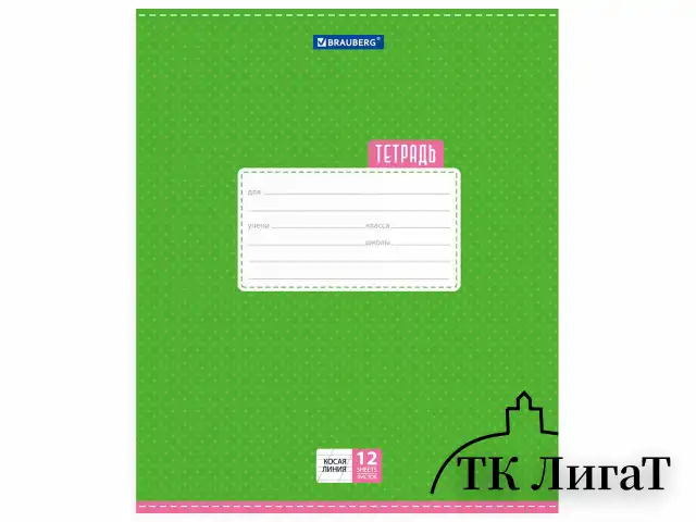 Тетрадь 12 л. BRAUBERG, косая линия, обложка картон, ТОЧКИ, 103033