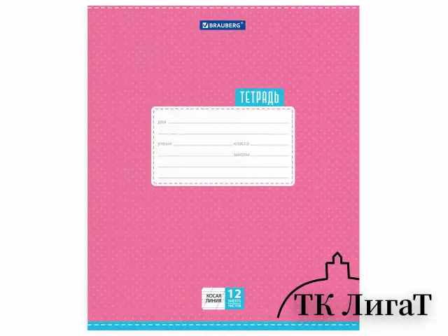 Тетрадь 12 л. BRAUBERG, косая линия, обложка картон, ТОЧКИ, 103033