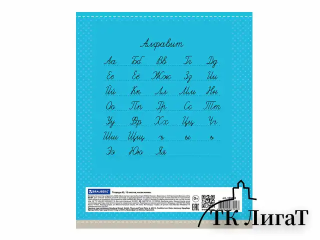 Тетрадь 12 л. BRAUBERG, косая линия, обложка картон, ТОЧКИ, 103033