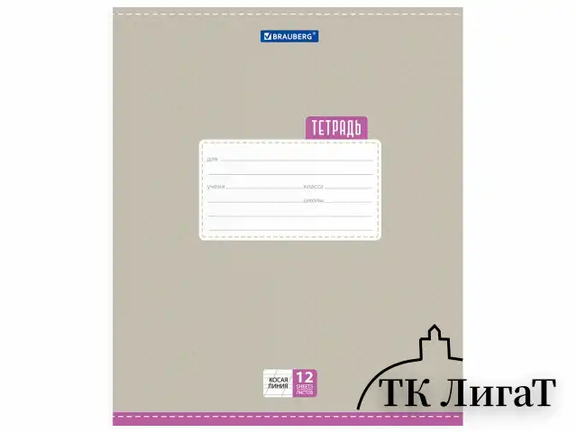 Тетрадь 12 л. BRAUBERG, косая линия, обложка картон, ТОЧКИ, 103033