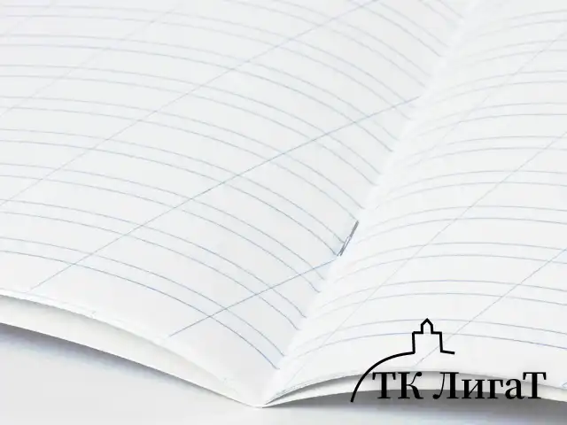 Тетрадь 12 л. BRAUBERG, косая линия, обложка картон, ТОЧКИ, 103033