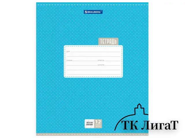 Тетрадь 12 л. BRAUBERG, косая линия, обложка картон, ТОЧКИ, 103033