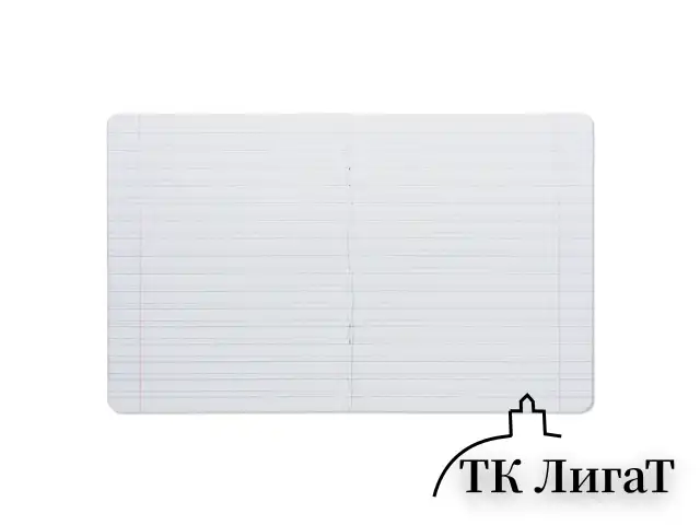 Тетрадь 12 л. BRAUBERG КЛАССИКА, косая линия, обложка картон, АССОРТИ (5 видов), 103276