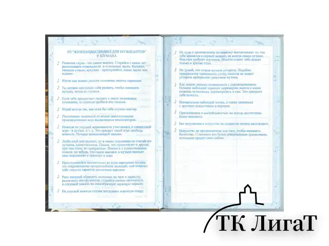 Дневник для музыкальной школы 140х210 мм, 48 л., твердый, BRAUBERG, справочный материал, "Концерт", 103279