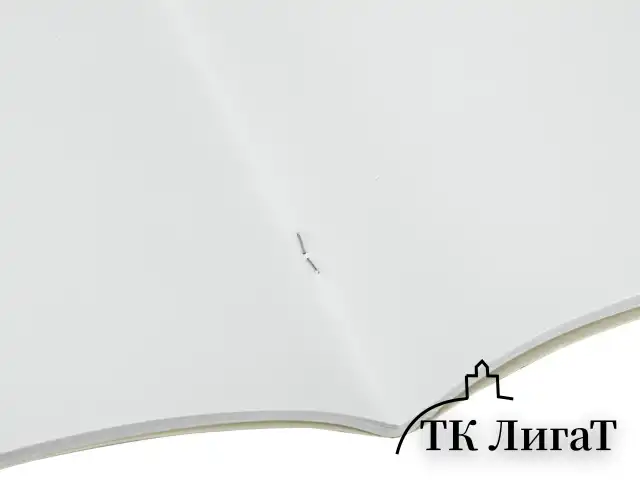 Альбом для рисования, А4, 40 листов, скоба, обложка картон, BRAUBERG, 200х283 мм, "Благородные кони" (2 вида), 103728