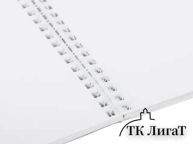 Альбом для рисования, А4, 40 листов, гребень, обложка картон, BRAUBERG, 205х290 мм, "Пейзаж с цветами" (2 вида), 103730