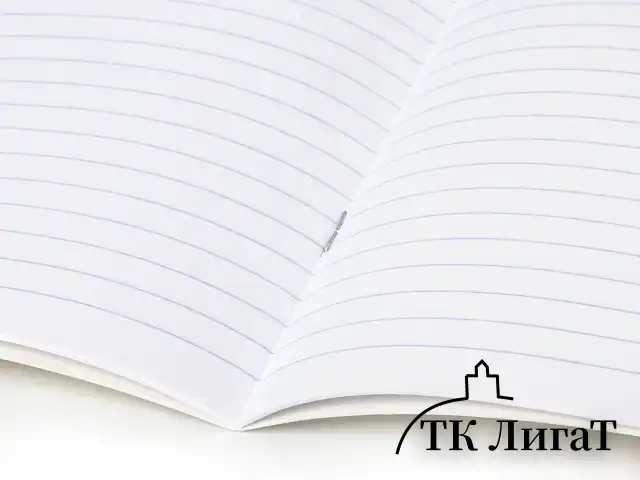 Тетрадь 18 л. BRAUBERG КЛАССИКА, линия, обложка картон, КРАСНАЯ, 104733