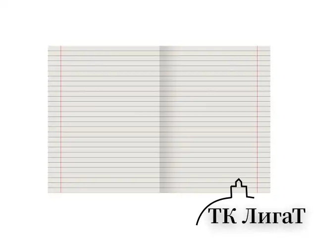 Тетрадь ЗЕЛЁНАЯ обложка 12 л., линия с полями, офсет №2 ЭКОНОМ, "ПИФАГОР", 104985