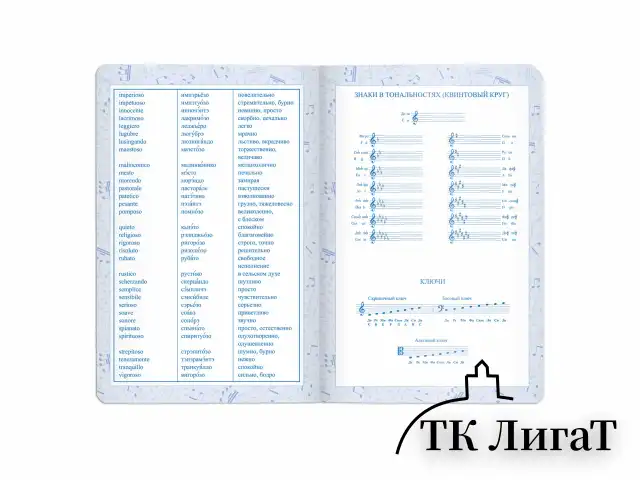 Дневник для музыкальной школы 140х210 мм, 48 л., обложка кожзам твердая, фольга, BRAUBERG, справочный материал, темно-синий, 105500