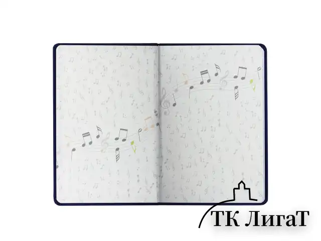 Дневник для музыкальной школы 140х210 мм, 48 л., обложка кожзам твердая, фольга, BRAUBERG, справочный материал, черный, 105502