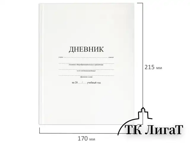 Дневник 1-11 класс 40 л., твердый, BRAUBERG, матовая ламинация, БЕЛЫЙ, 105540
