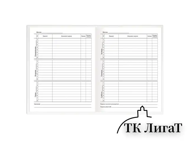 Дневник 1-11 класс 40 л., твердый, BRAUBERG, матовая ламинация, БЕЛЫЙ, 105540