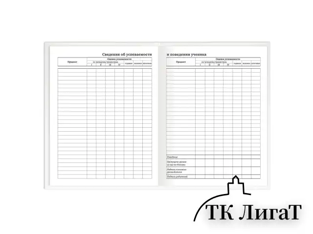 Дневник 1-11 класс 40 л., твердый, BRAUBERG, матовая ламинация, БЕЛЫЙ, 105540