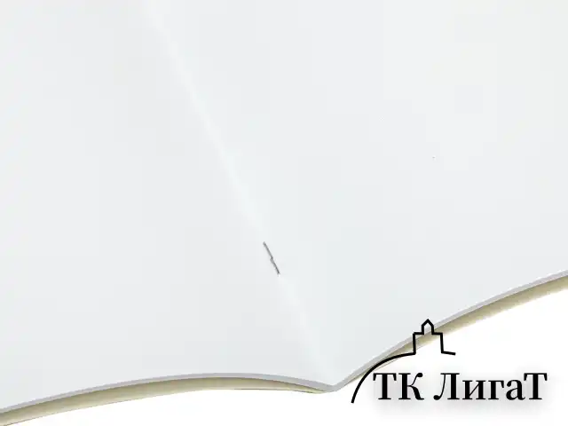 Альбом для рисования А4 24 л., скоба, обложка картон, BRAUBERG, 202х285 мм, "Райские птички" (2 вида), 105609