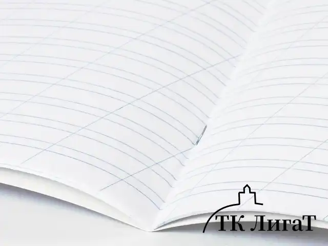 Тетрадь 12 л. ЮНЛАНДИЯ КЛАССИЧЕСКАЯ, косая линия, обложка картон, АССОРТИ 5 видов.105649