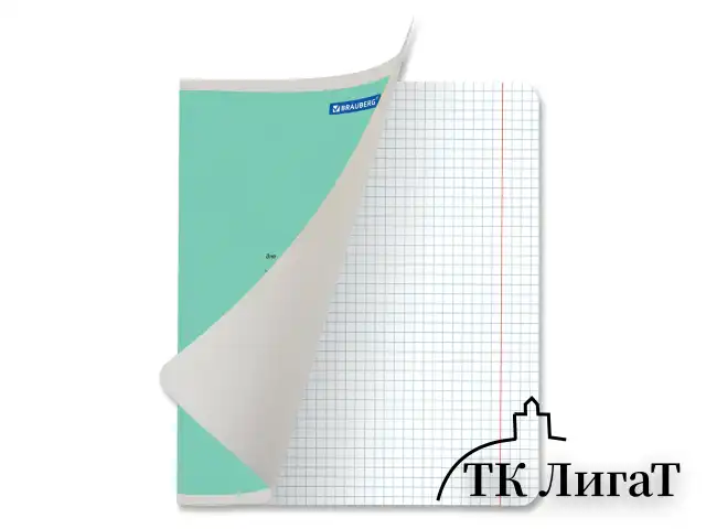 Тетрадь 12 л. BRAUBERG "КЛАССИКА NEW", клетка, обложка картон, АССОРТИ (5 видов), 105682