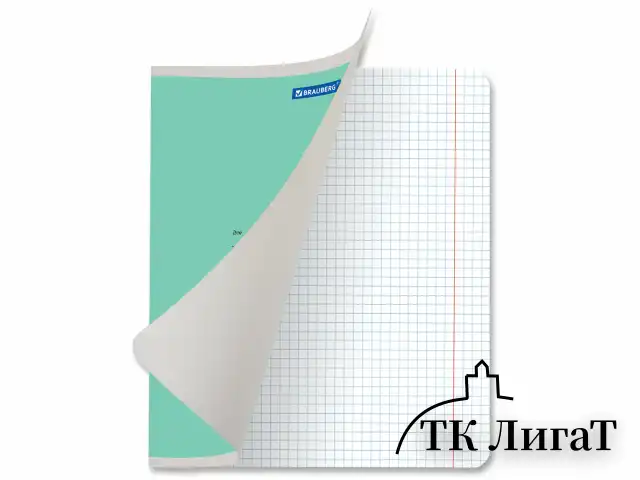 Тетрадь 12 л. BRAUBERG КЛАССИКА NEW клетка, обложка картон, ЗЕЛЕНАЯ, 105684