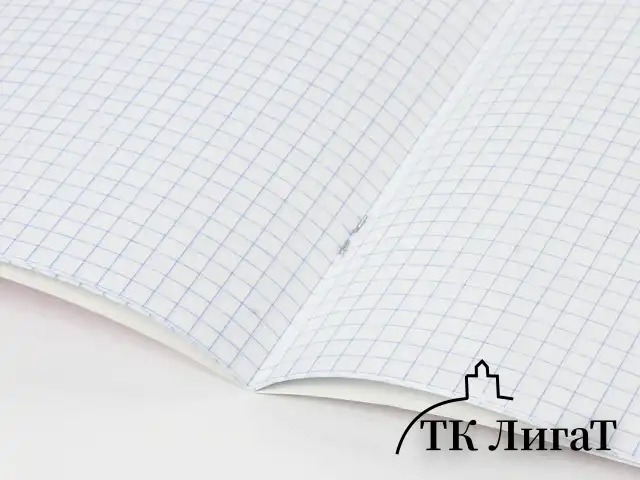 Тетрадь 12 л. BRAUBERG КЛАССИКА NEW клетка, обложка картон, СИНЯЯ, 105686